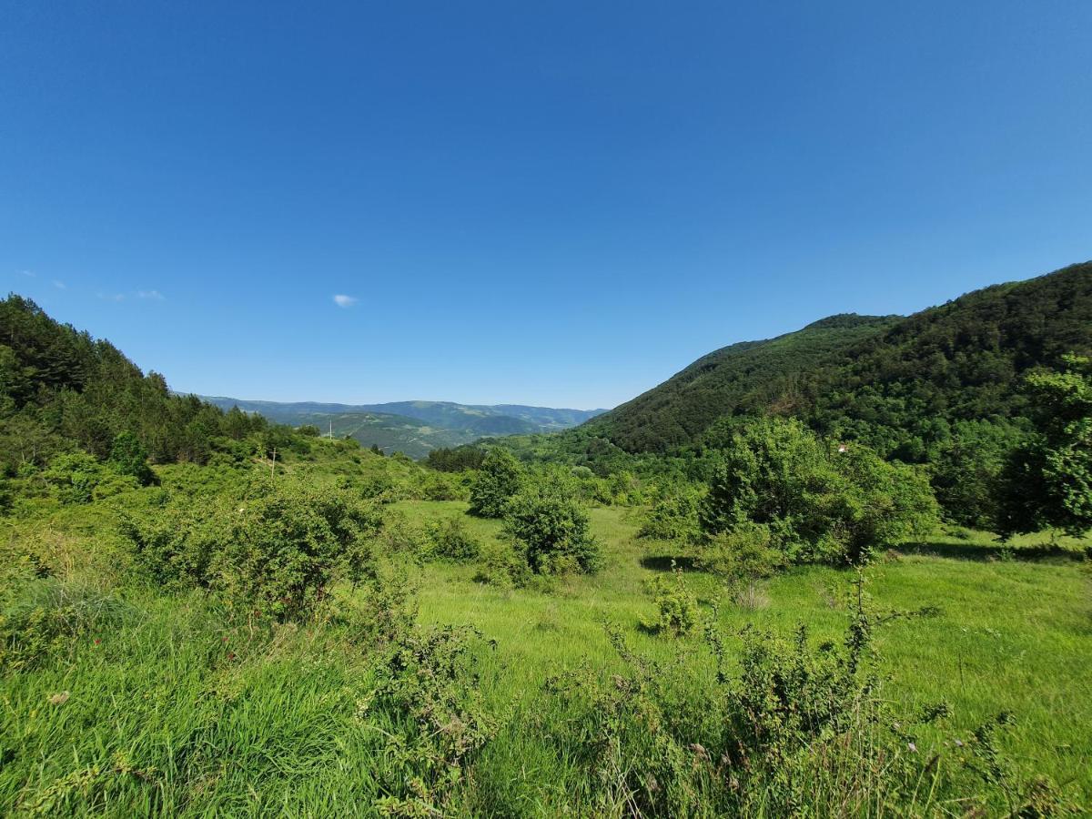 Zavojsko Jezero Pirot - Smestaj Manic Guest House Gostusa Ngoại thất bức ảnh