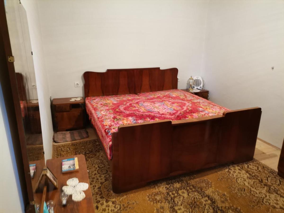 Zavojsko Jezero Pirot - Smestaj Manic Guest House Gostusa Ngoại thất bức ảnh