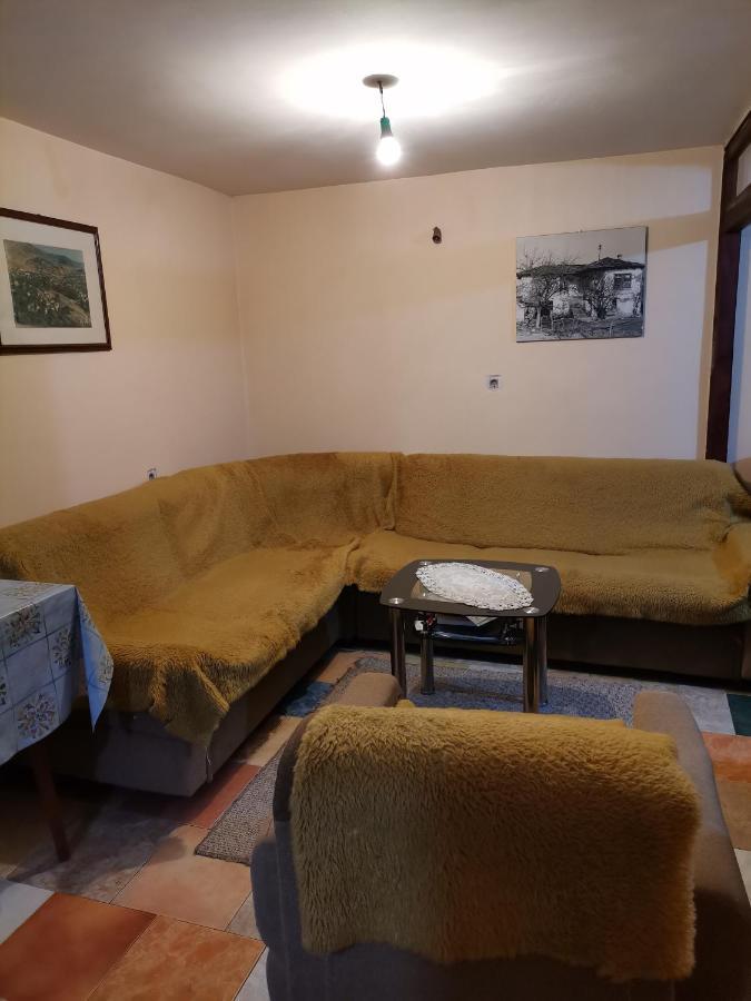 Zavojsko Jezero Pirot - Smestaj Manic Guest House Gostusa Ngoại thất bức ảnh