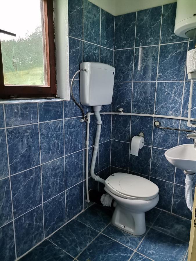 Zavojsko Jezero Pirot - Smestaj Manic Guest House Gostusa Ngoại thất bức ảnh
