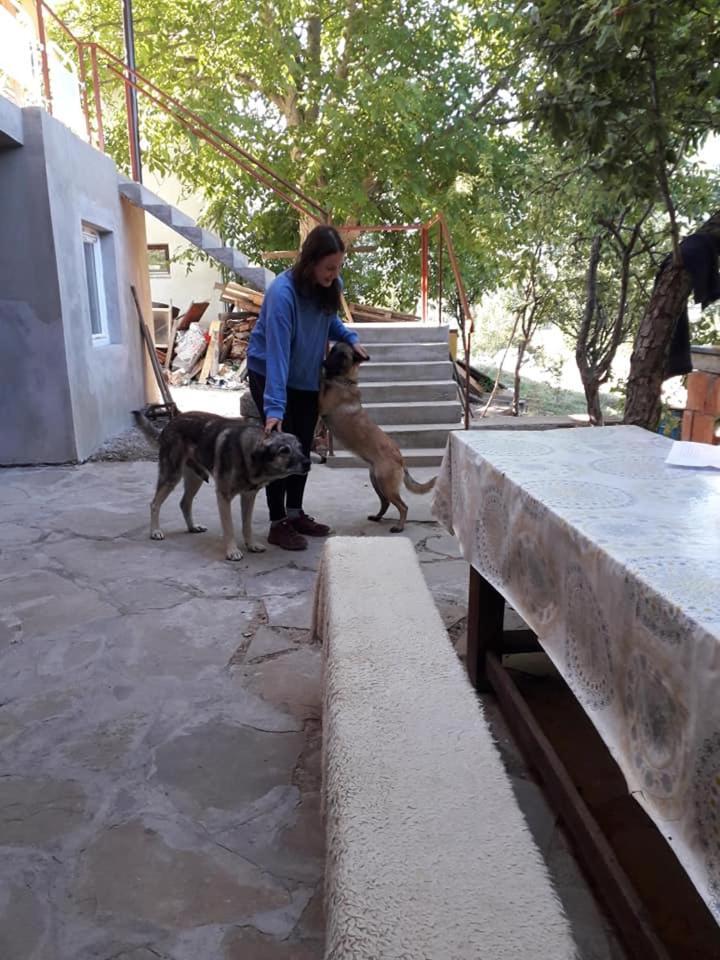 Zavojsko Jezero Pirot - Smestaj Manic Guest House Gostusa Ngoại thất bức ảnh
